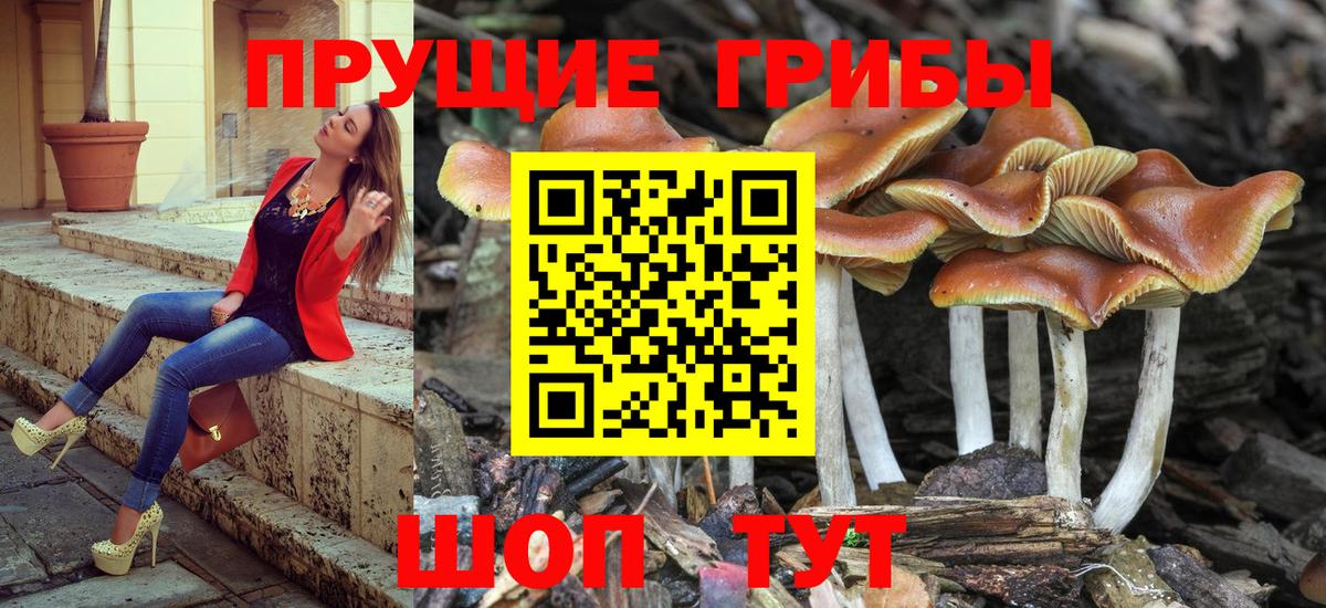 Галлюциногенные грибы мицелий  Вход с VPN  Краснокаменск  Псилоцибиновые грибы мицелий 